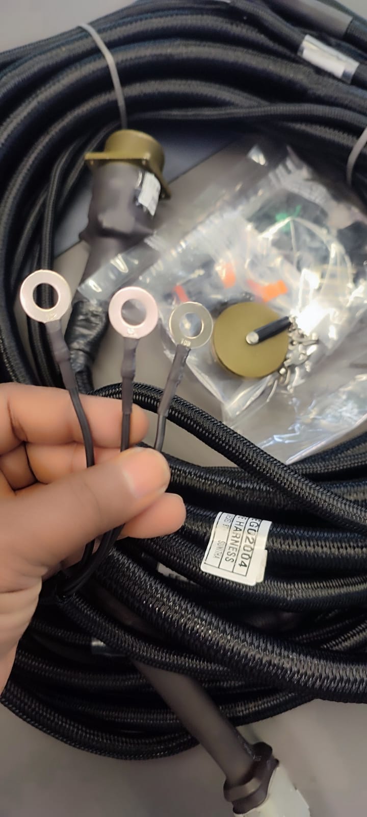 Harness with ring terminals